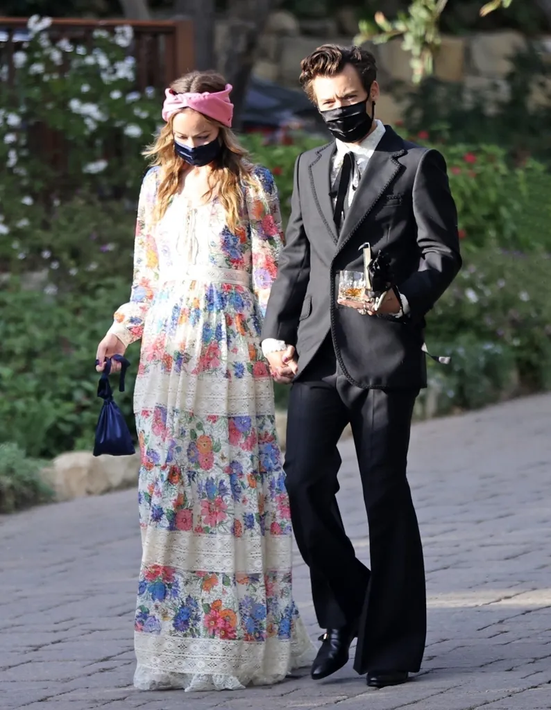 Harry Styles y Olivia Wilde