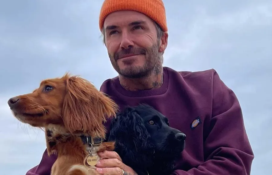 davis-beckham-.jpg