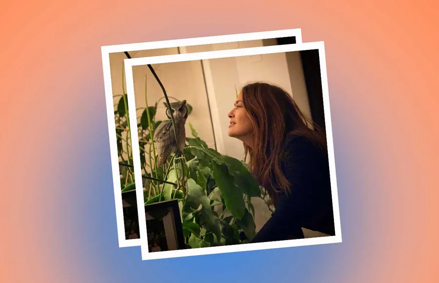 Cuando el búho de Salma Hayek vomitó pelo en la cabeza de Harry Styles